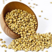 MAAZ CORIANDER SEED 300g