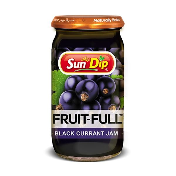 SUN DIP - 黑加侖果醬 - 430g