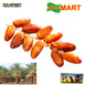 PALM'FRUTT - FRESH DEGLET NOUR DATES (ON BRANCH) - 500g